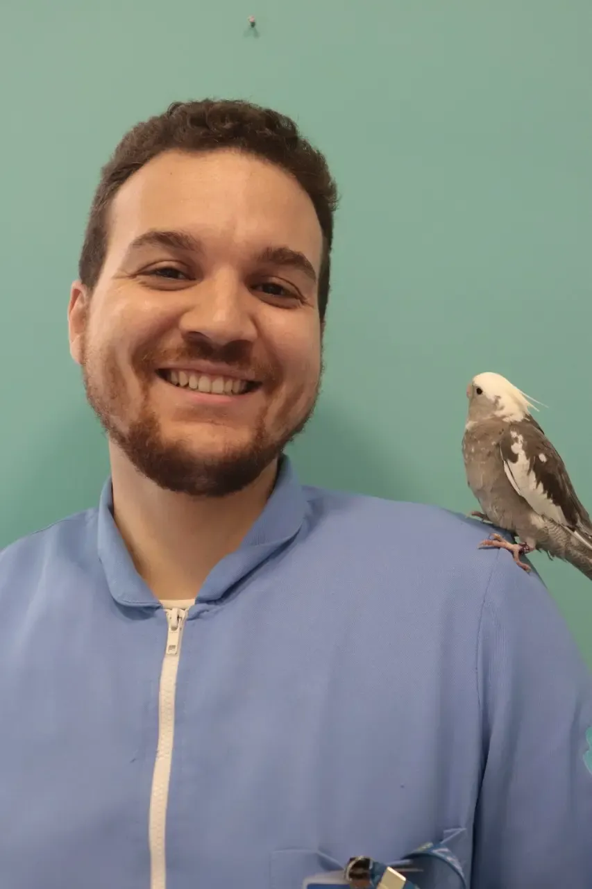 Victor com uma calopsita no ombro, em frente a uma parede teal