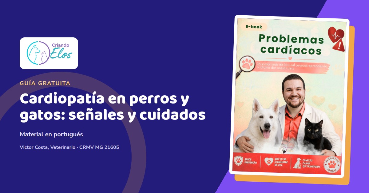 Composición editorial con la portada en portugués del e-book Problemas cardíacos de Criando Elos