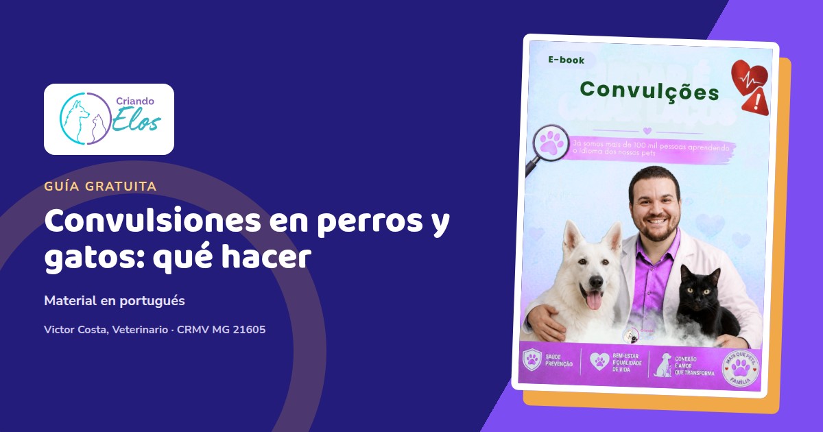 Composición editorial sobre primeros cuidados ante convulsiones en perros y gatos