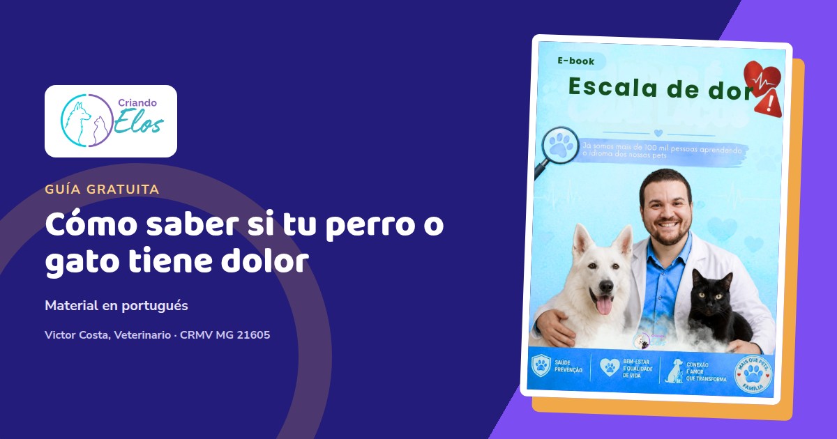 Composición editorial con la portada en portugués del ebook Escala de dolor, sobre observación de perros y gatos.