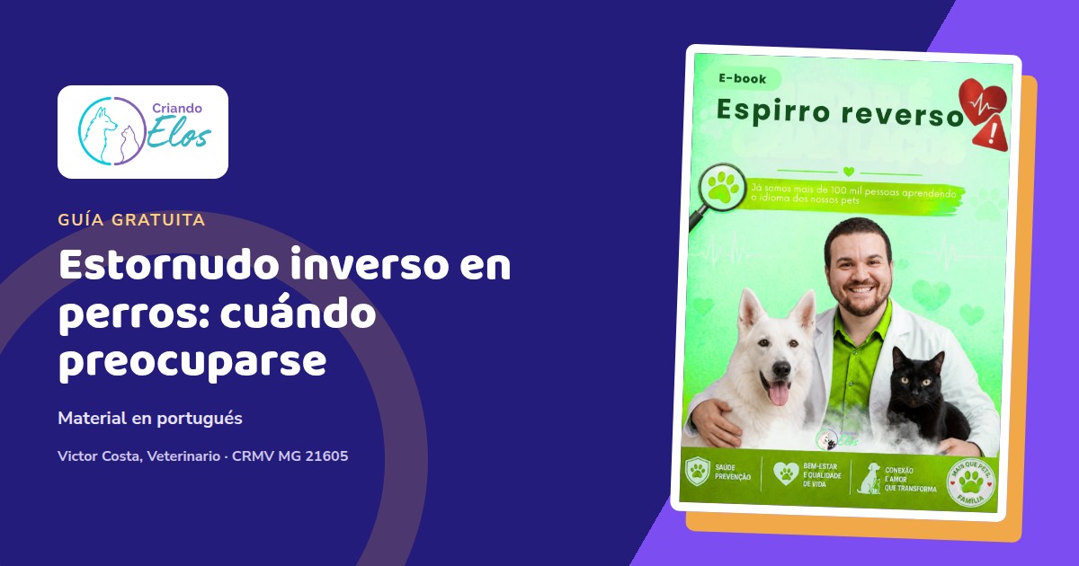 Composición editorial de un perro durante un episodio de estornudo inverso, con el cuello extendido