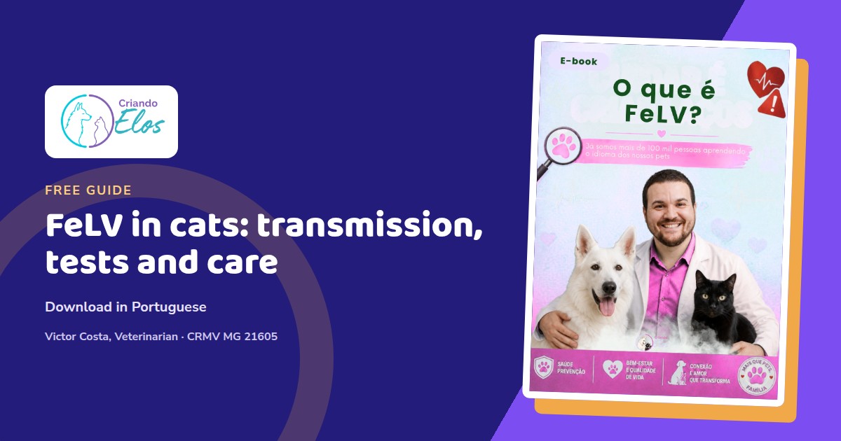 Criando Elos editorial composition featuring the e-book cover about FeLV in cats
