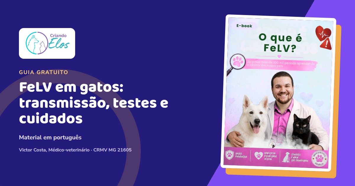 Composição editorial do Criando Elos com a capa do e-book sobre FeLV em gatos