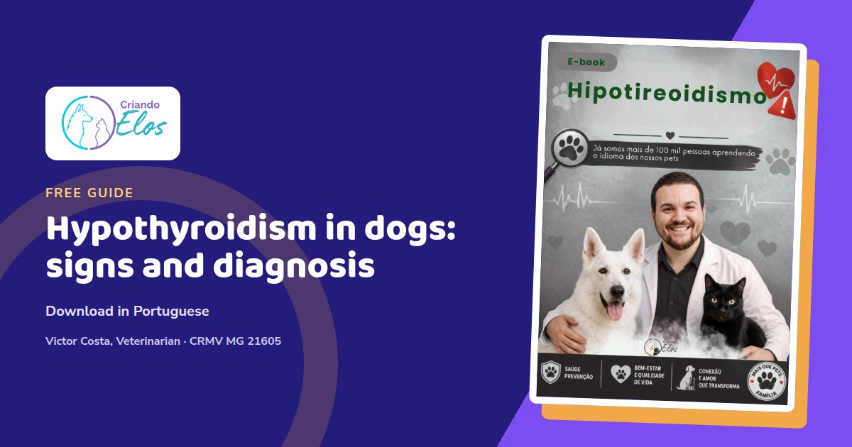 Editorial composition of the Criando Elos e-book about signs and diagnosis of hypothyroidism in dogs