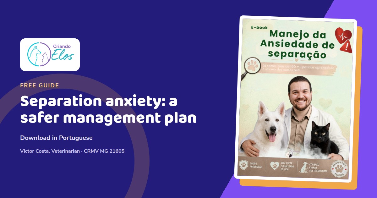 A dog and cat resting at home during a gradual separation anxiety management plan