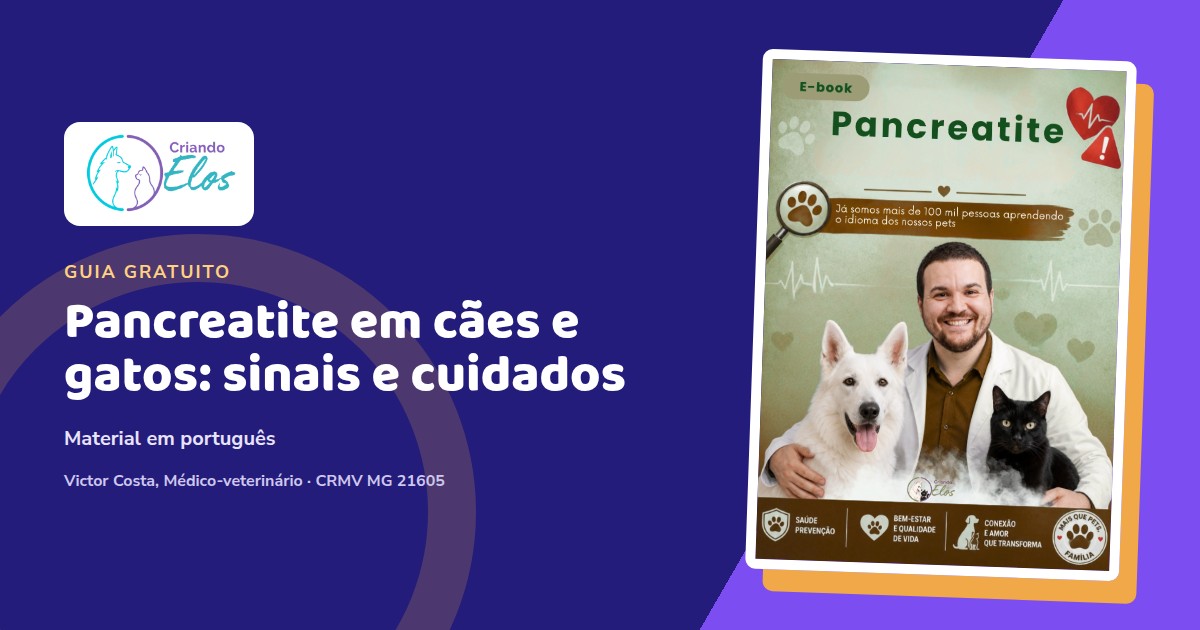 Composição editorial do e-book Pancreatite, sobre a inflamação do pâncreas em cães e gatos