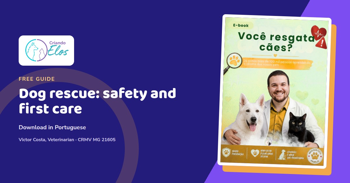 Editorial composition about safe handling, triage, and first care when rescuing dogs