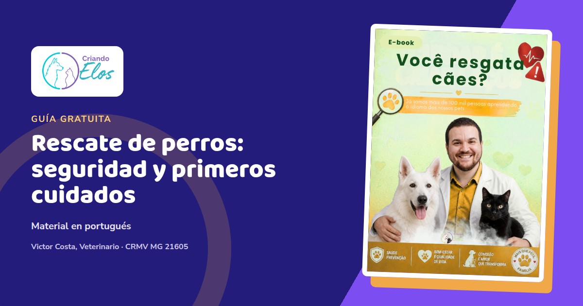 Composición editorial sobre acercamiento seguro, triaje y primeros cuidados en el rescate de perros
