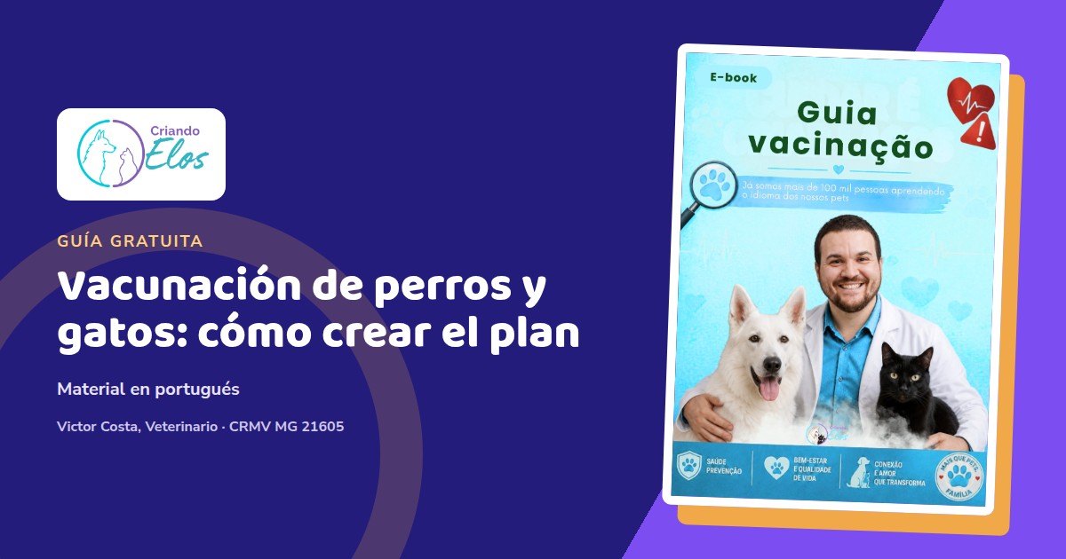 Composición editorial sobre vacunación individualizada de perros y gatos y registro completo en la cartilla